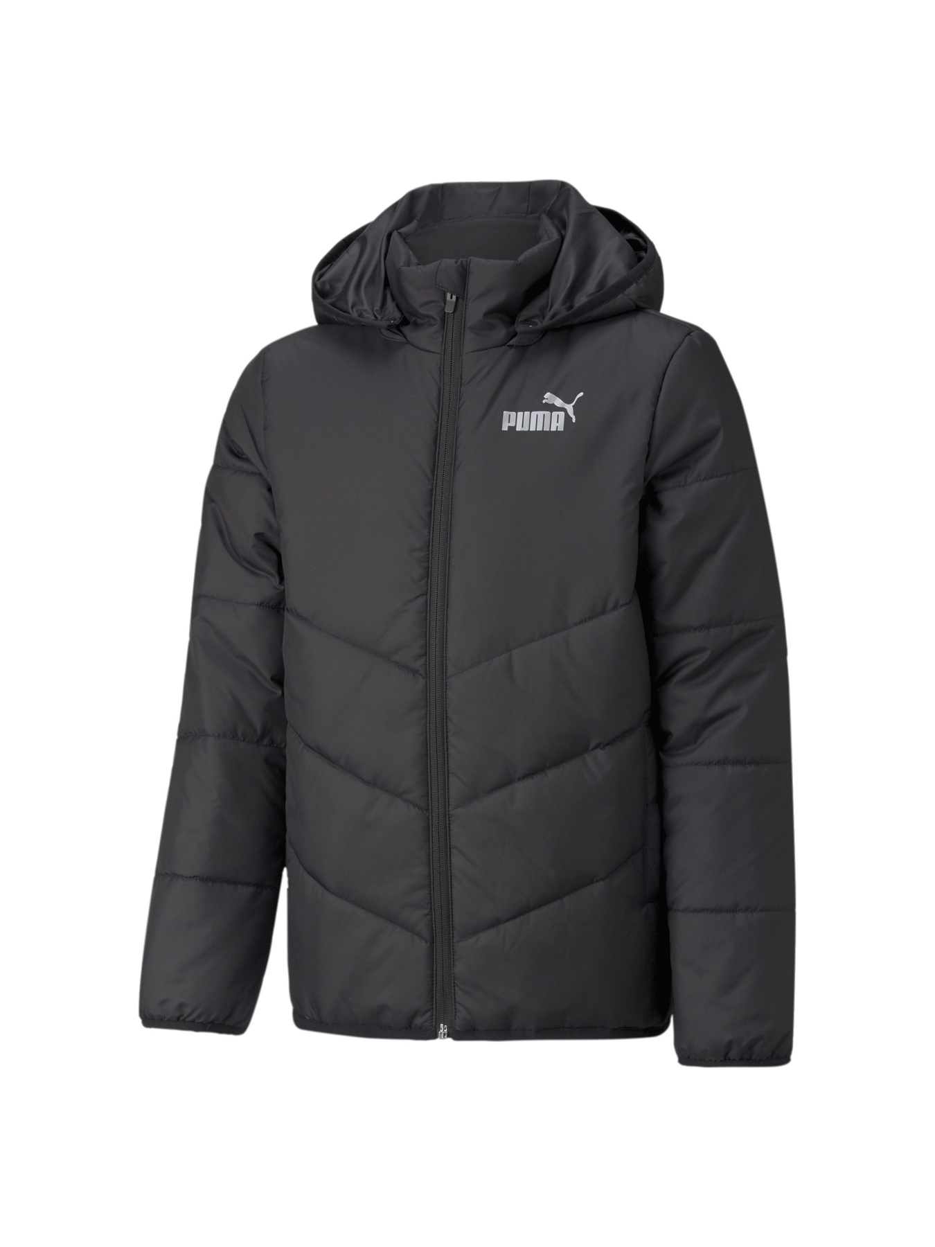 Куртки и дубленки PUMA модель 589569 Фото