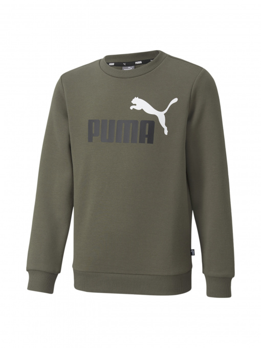 Худи и свитшоты PUMA модель 586986 Фото