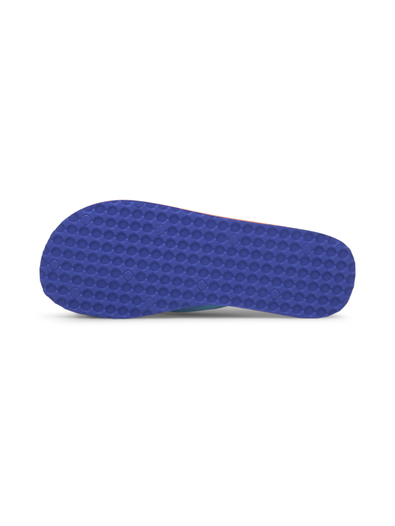 Шльопанці PUMA Epic Flip v2 модель 360248 Фото