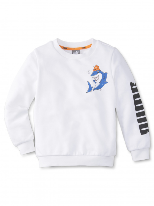 Худи и свитшоты PUMA модель 589250 Фото