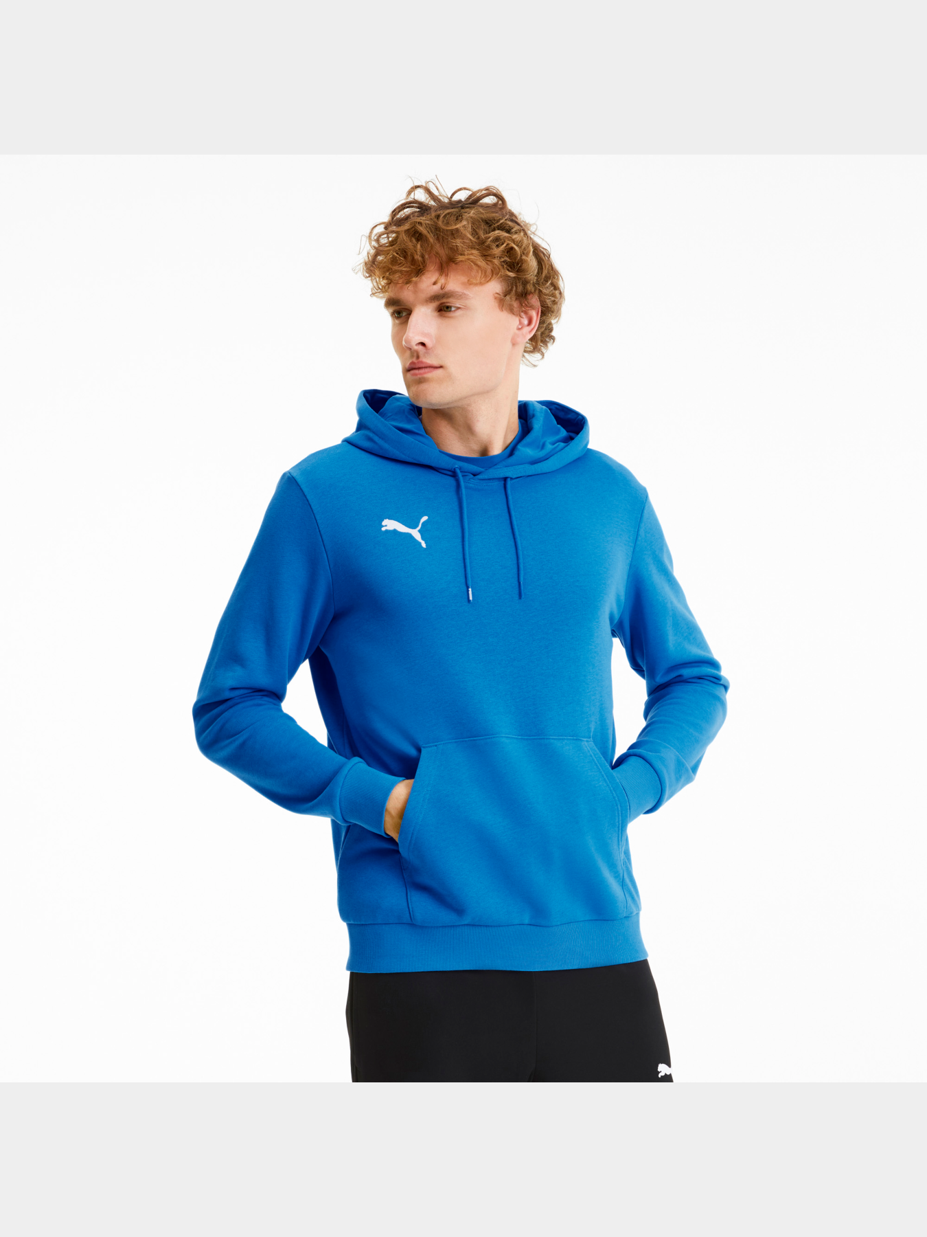 Худи и свитшоты PUMA Teamgoal 23 Causals Hoody модель 656580 Фото