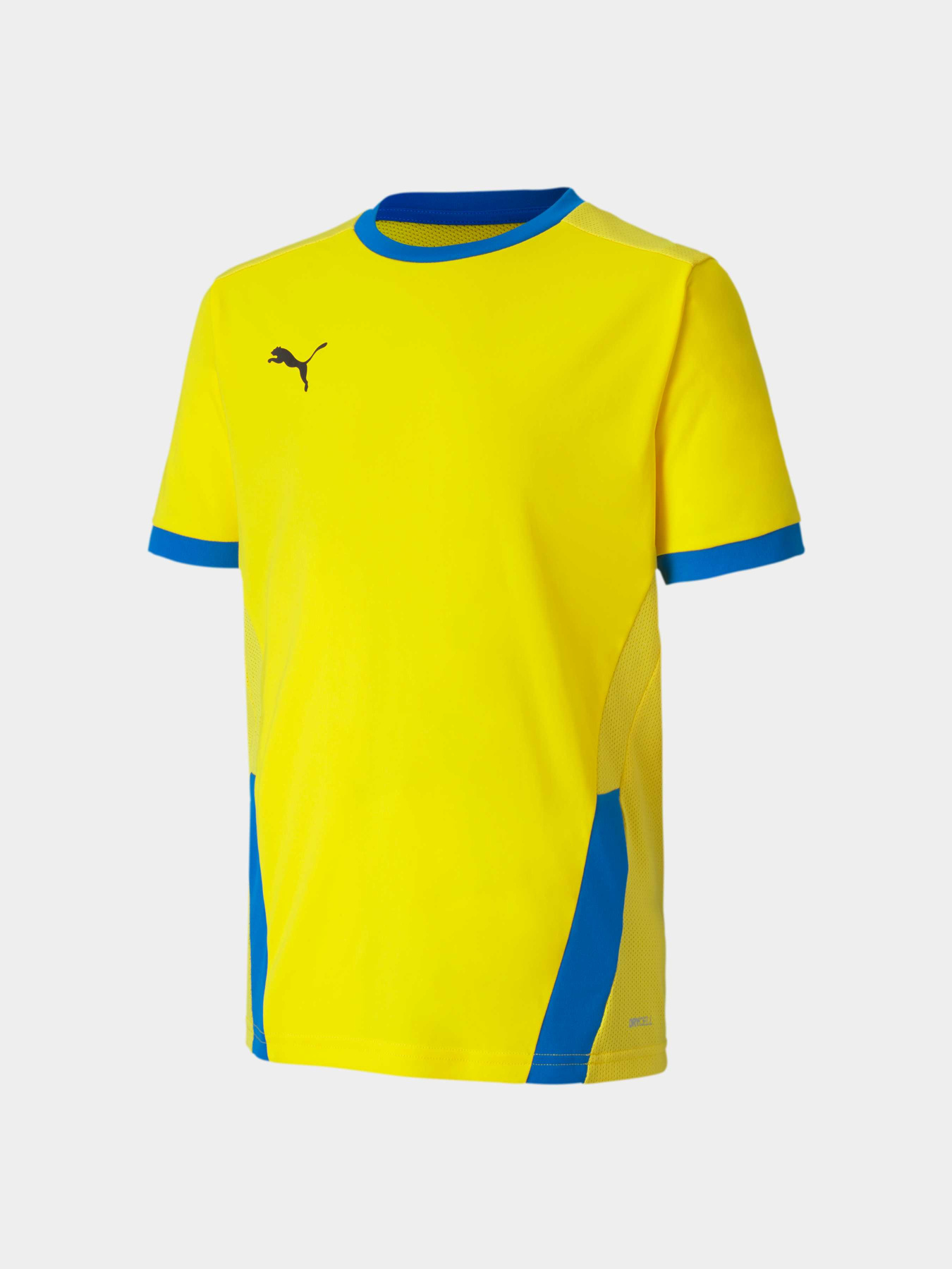 Футболки и поло PUMA Teamgoal 23 Jersey Jr модель 704160 Фото