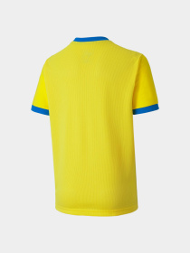 Футболки и поло PUMA Teamgoal 23 Jersey Jr модель 704160 Фото