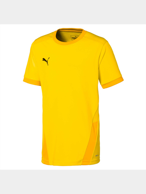 Футболки и поло PUMA Teamgoal 23 Jersey Jr модель 704160 Фото
