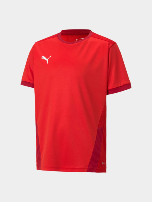 Футболки и поло PUMA Teamgoal 23 Jersey Jr модель 704160 Фото