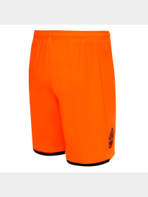 Шорты PUMA Fcsd Shorts Replica модель 764104 Фото
