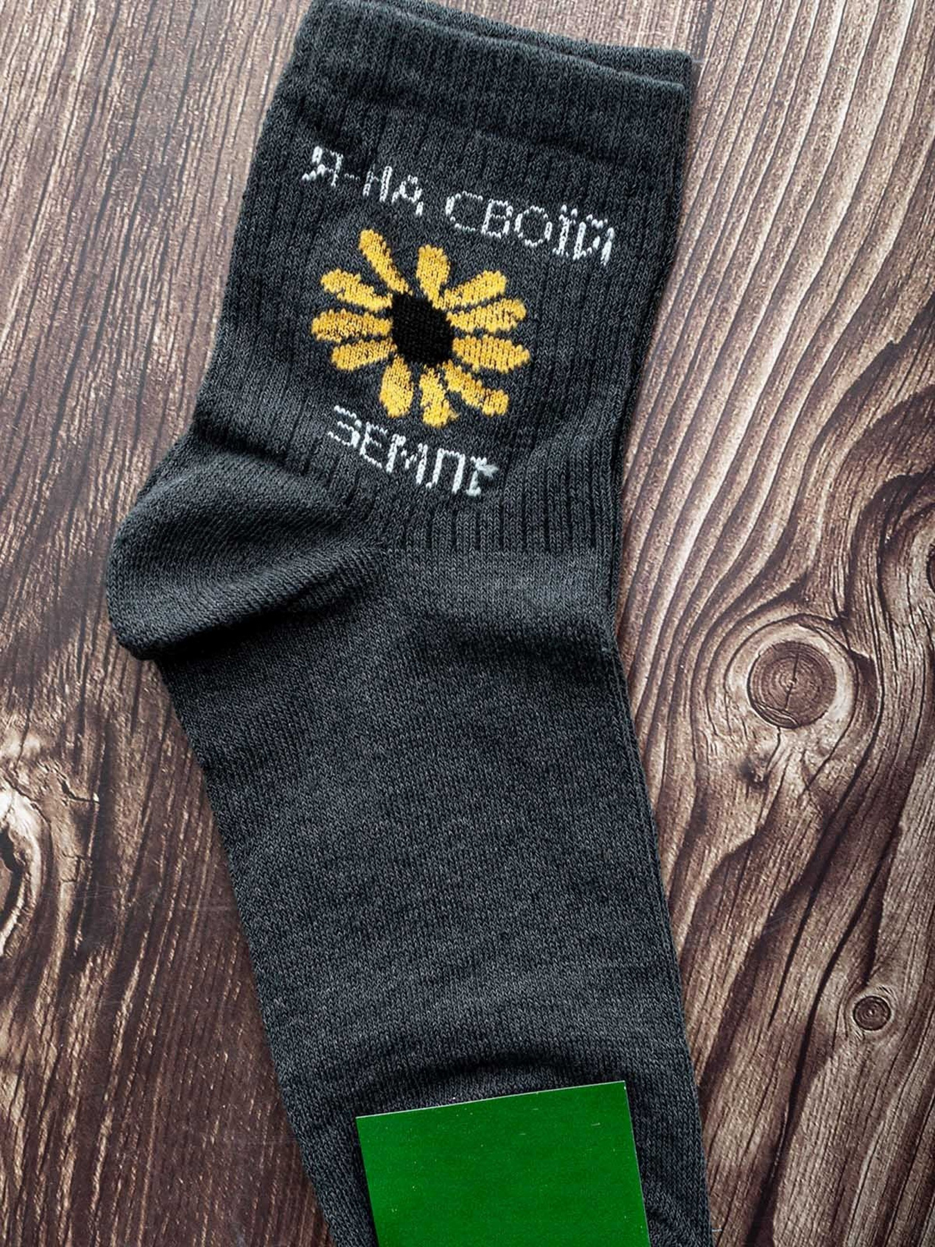 Шкарпетки та гольфи ISSA Plus модель GNS-64_grey Фото
