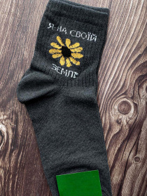 Шкарпетки та гольфи ISSA Plus модель GNS-64_grey Фото