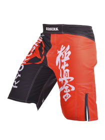 Шорты Berserk Sport модель KyokushinBlackSHRT Фото