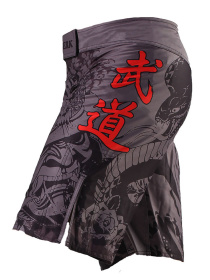 Шорты Berserk Sport модель SamurayGreySHRT Фото