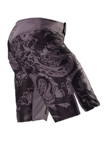 Шорты Berserk Sport модель SamurayGreySHRT Фото