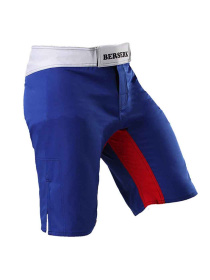 Шорти Berserk Sport модель LegacymultiBlueSHRT Фото
