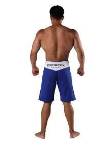 Шорти Berserk Sport модель LegacymultiBlueSHRT Фото