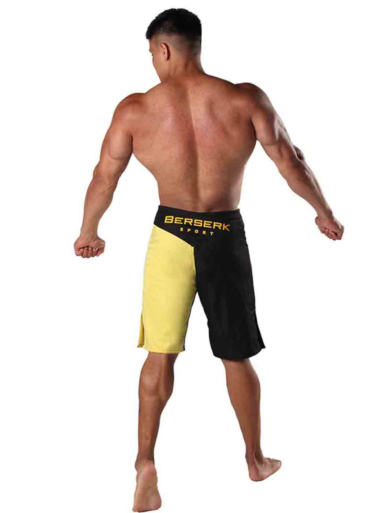 Шорты Berserk Sport модель LegacymultiBlackSHRT Фото