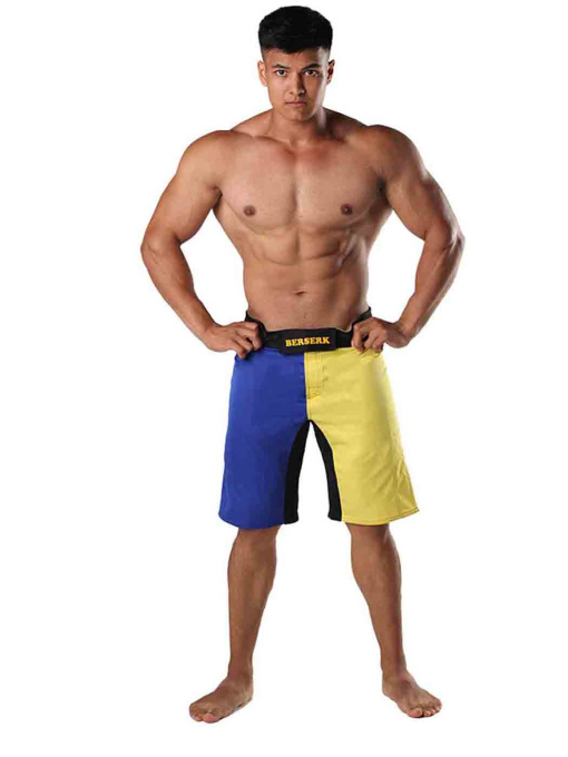 Шорти Berserk Sport модель LegacymultiYellowSHRT Фото