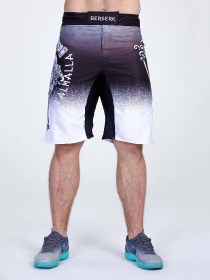 Шорты Berserk Sport модель SonsofOdinGreySHRT Фото