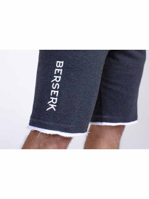 Шорты Berserk Sport модель UnusualCasualDarkGreySHRT Фото