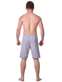 Шорты Berserk Sport модель SpeedTrainingGreySHRT Фото