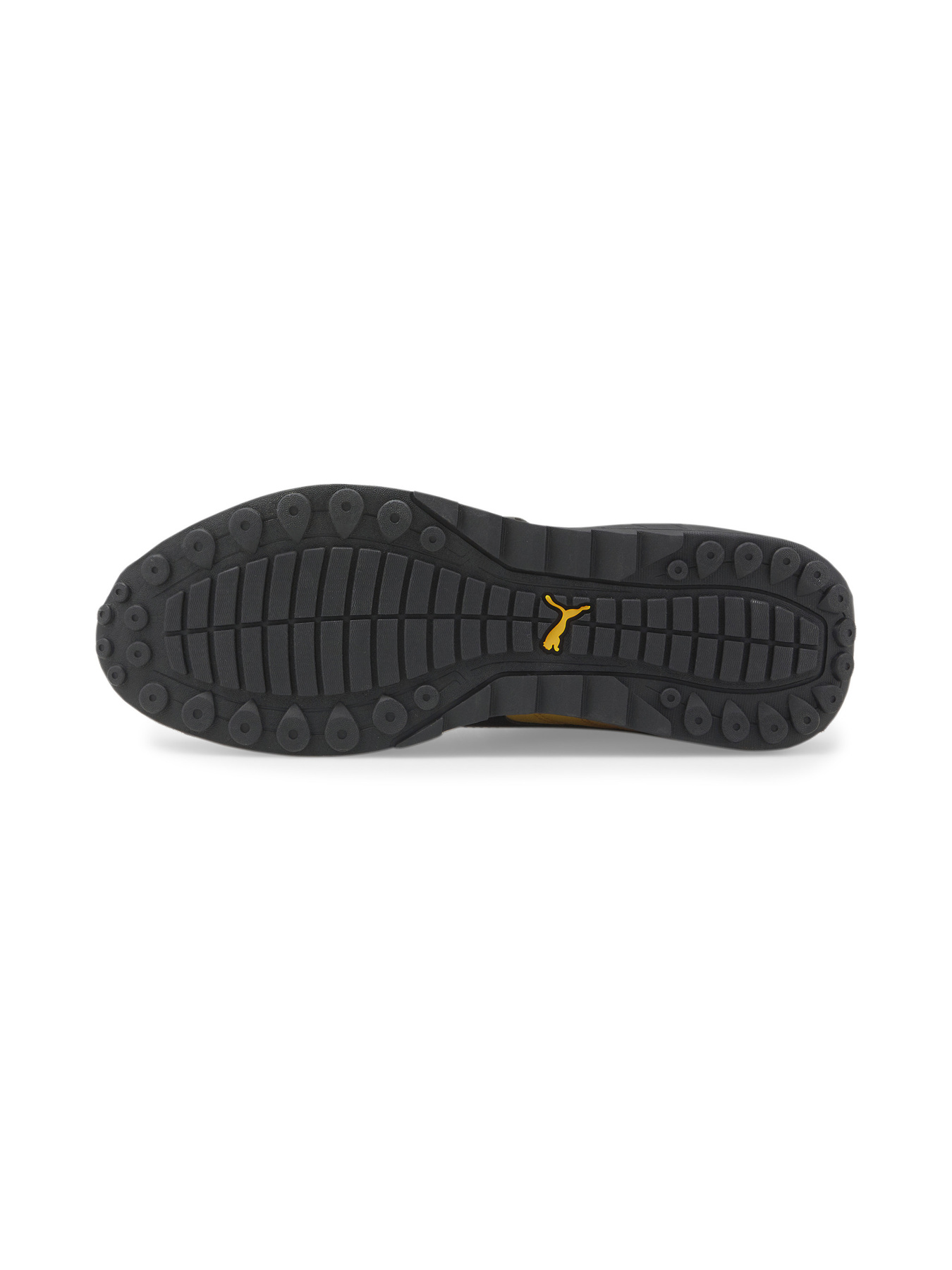 Кросівки PUMA модель 307169 Кросівки PUMA модель 307169 Фото