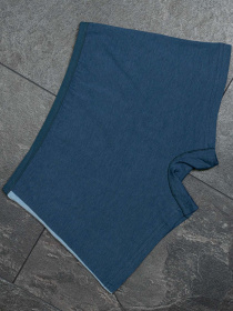Нижнее белье ISSA Plus модель GN5-164_blue. Фото