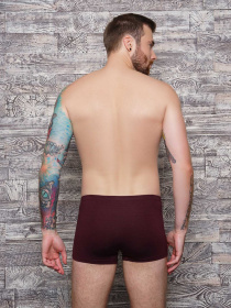 Нижня білизна ISSA Plus модель GN5-90_brown. Фото