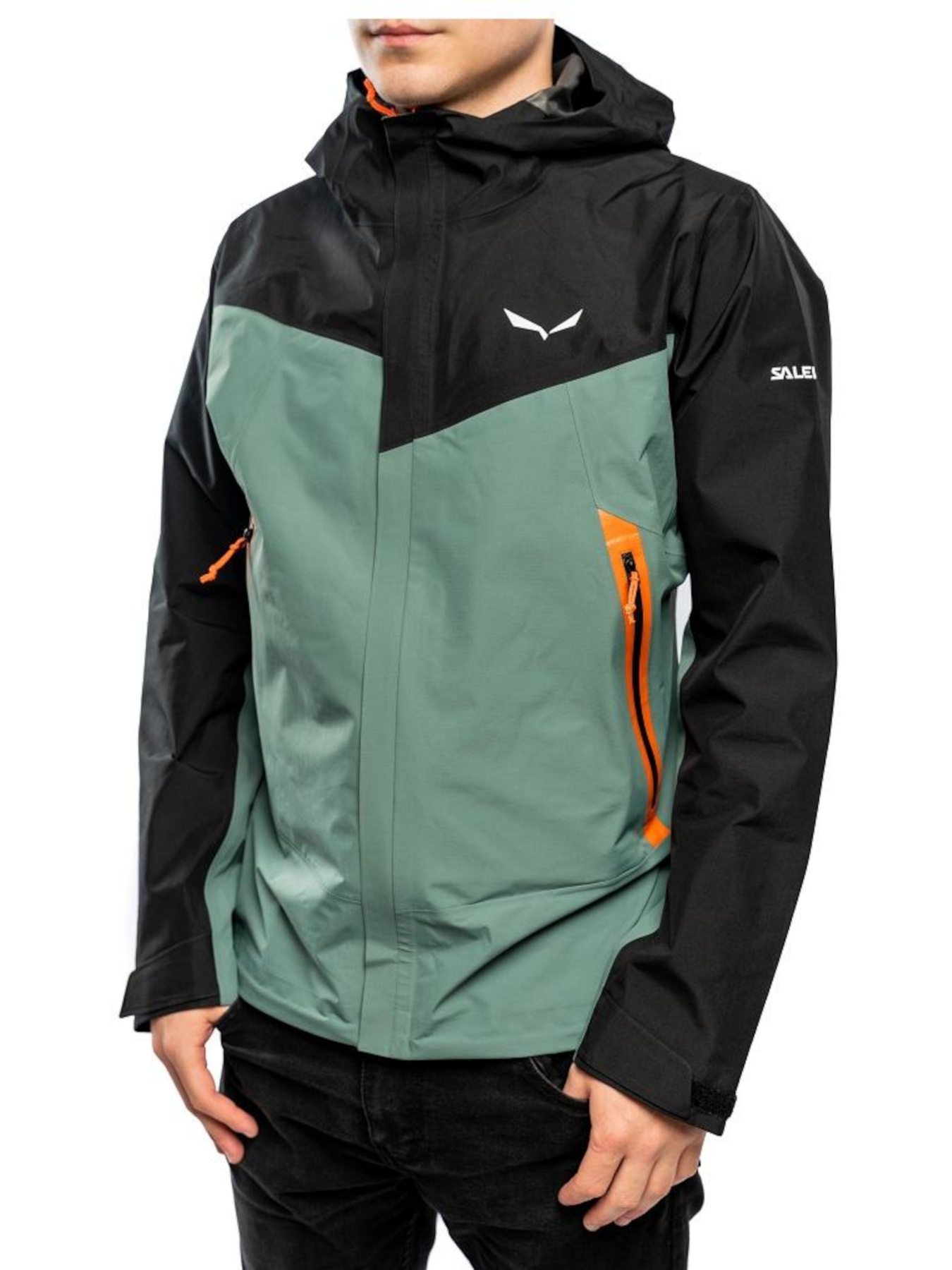 Куртки и дубленки Salewa модель edffed1a-1404-11ed-810e-001dd8b72568 Фото