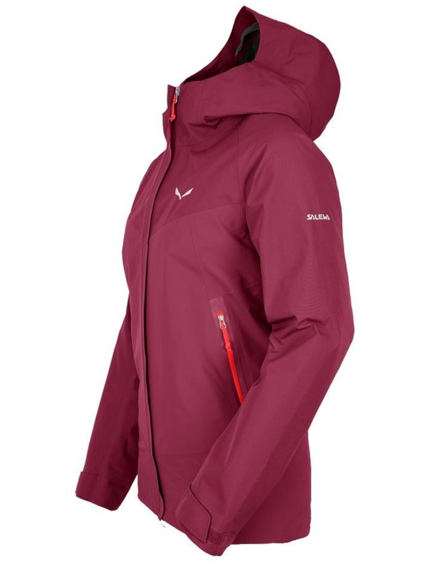 Куртки и дубленки Salewa модель 711f1651-1405-11ed-810e-001dd8b72568 Куртки и дубленки Salewa модель 711f1651-1405-11ed-810e-001dd8b72568 Фото