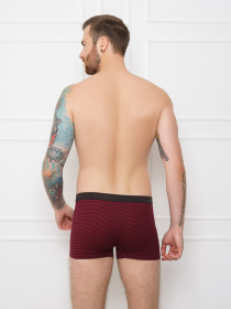 Нижнее белье ISSA Plus модель GN5-115__burgundy Фото