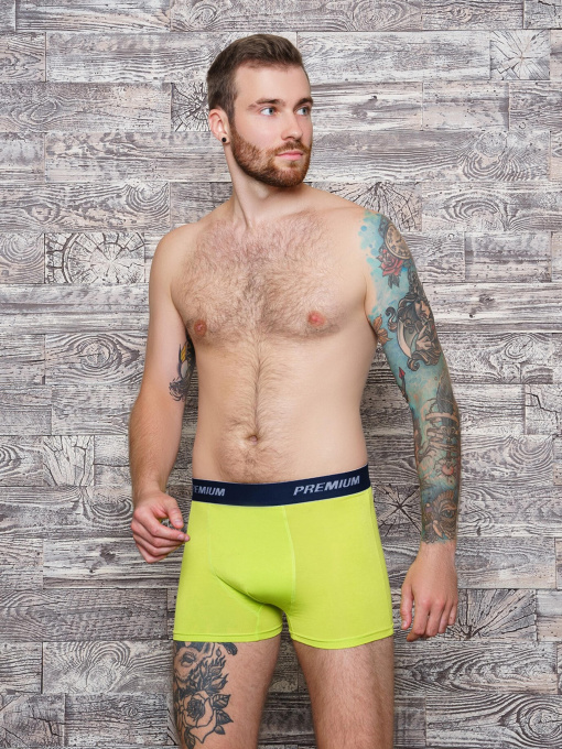 Нижнее белье ISSA Plus модель GN5-153__lightgreen Фото