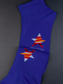 Шкарпетки та гольфи ISSA Plus модель GNS-107__blue Фото