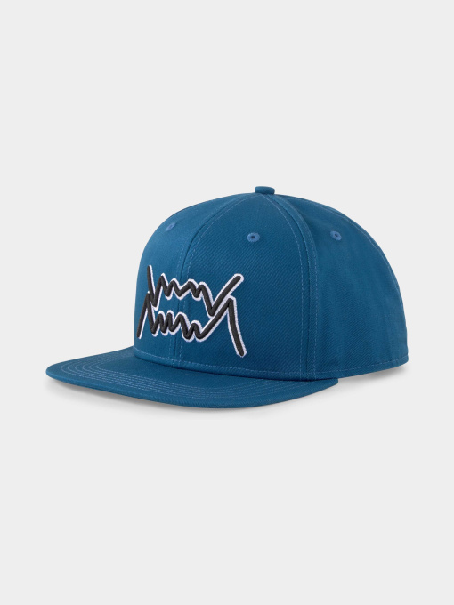 Шапки и кепки PUMA Basketball Pro Cap модель 023574 Фото