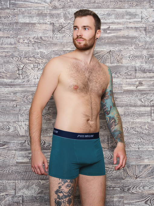 Нижнее белье ISSA Plus модель GN5-153_.turquoise Фото