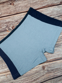 Нижня білизна ISSA Plus модель GN5-71_.blue Фото