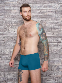 Нижня білизна ISSA Plus модель GN5-90_.turquoise Фото