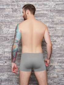 Нижня білизна ISSA Plus модель GN5-90_.lightgray Фото