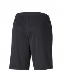 Шорты PUMA Individualrise Shorts модель 657538 Фото