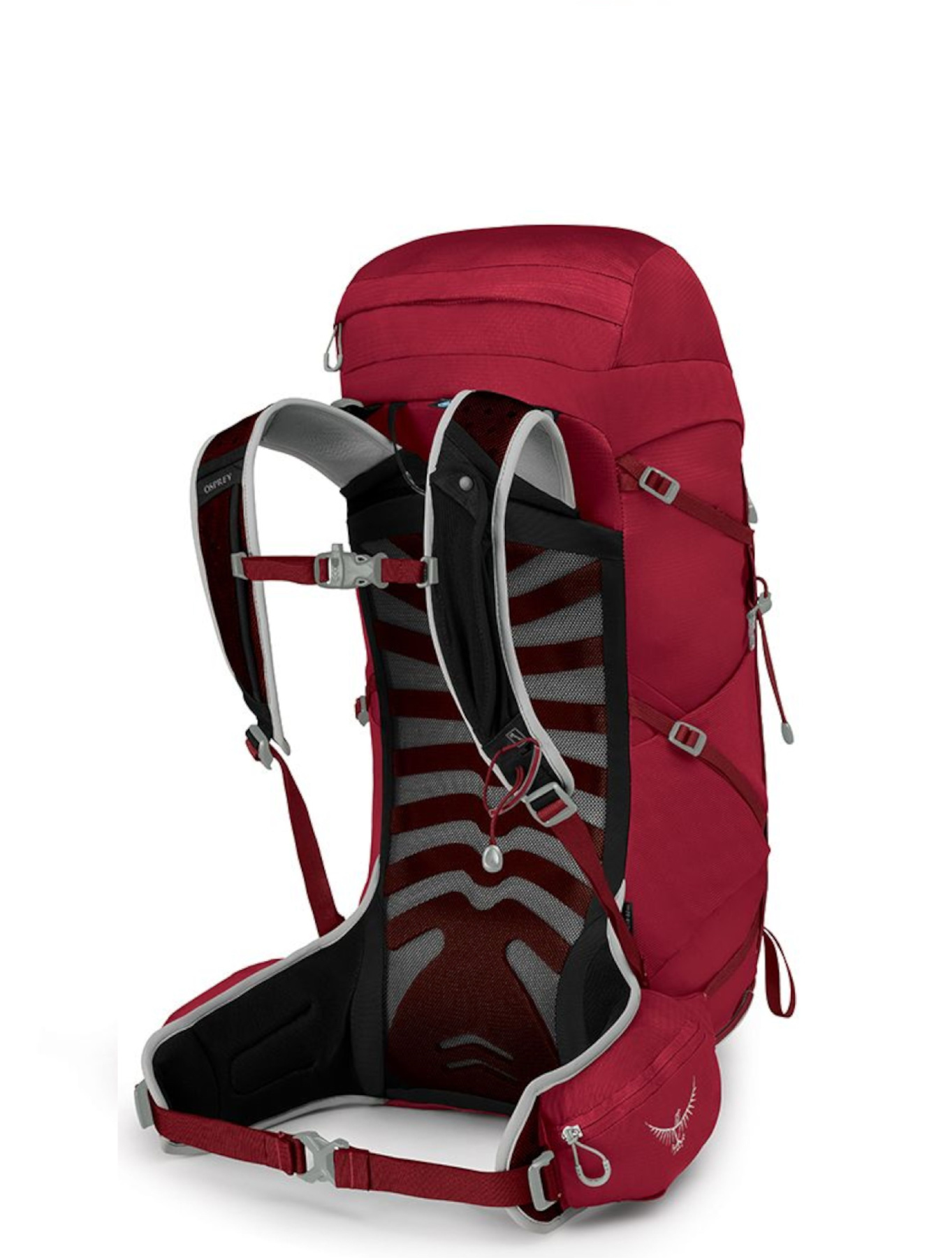 Рюкзаки Osprey модель 4cea94b6-1fc2-11ed-810e-001dd8b72568 Рюкзаки Osprey модель 4cea94b6-1fc2-11ed-810e-001dd8b72568 Фото