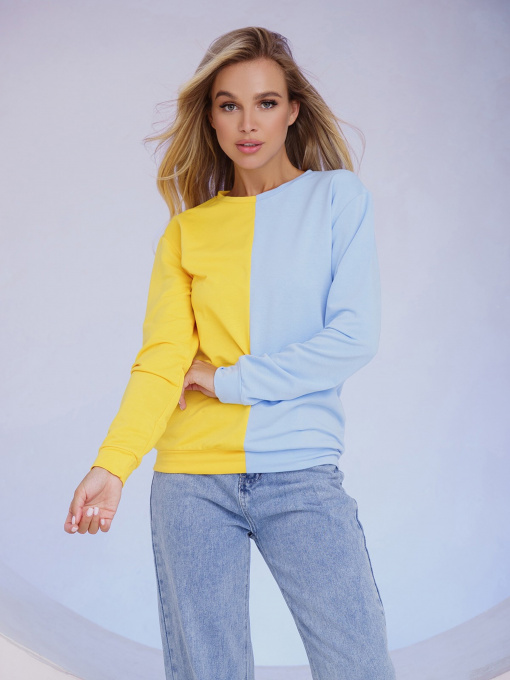 Худі та світшоти ISSA Plus модель 13489_yellowblue Фото