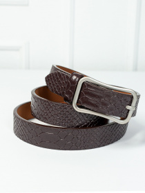 Ремені ISSA Plus модель R1-112_brown Фото