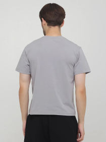 Футболки і поло Chikiss модель CMV002-002 Фото