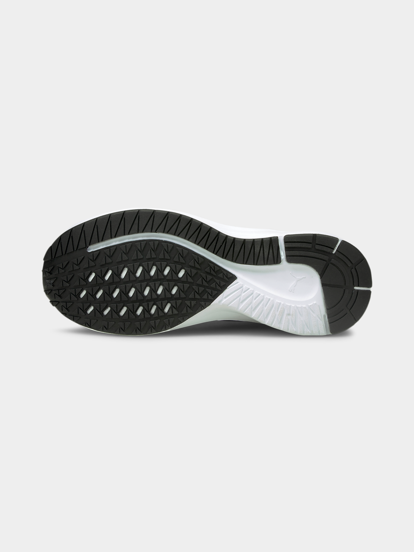 Кросівки PUMA Aviator модель 195175 Кросівки PUMA Aviator модель 195175 Фото