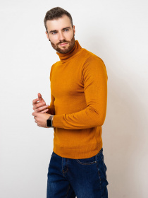 Светри та кардигани ISSA Plus модель GN4-57_mustard Фото