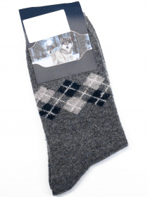 Шкарпетки та гольфи ISSA Plus модель GNS-147_darkgray Фото
