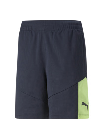 Шорты PUMA модель 658042 Фото