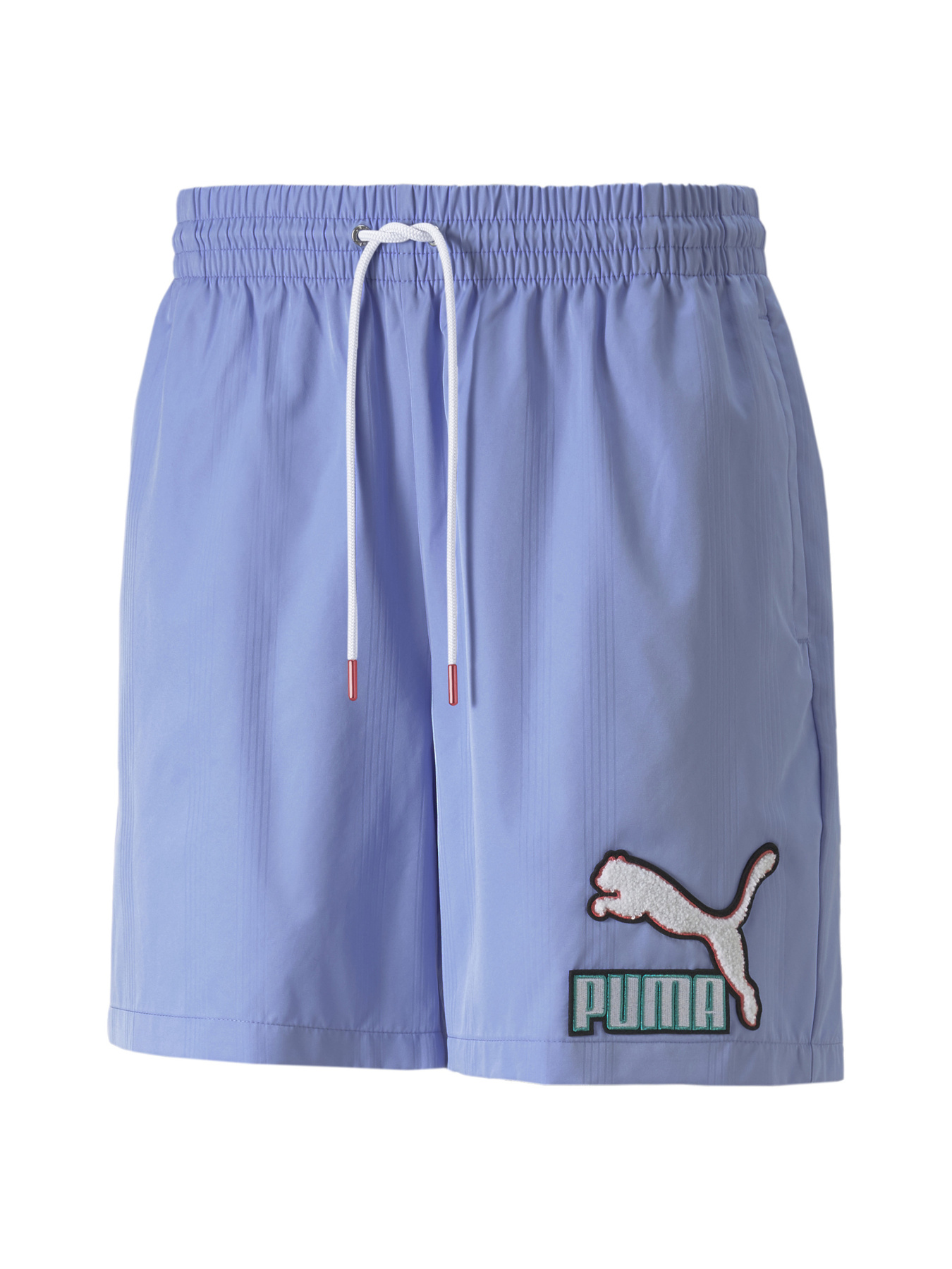 Шорты PUMA модель 536111 Шорты PUMA модель 536111 Фото