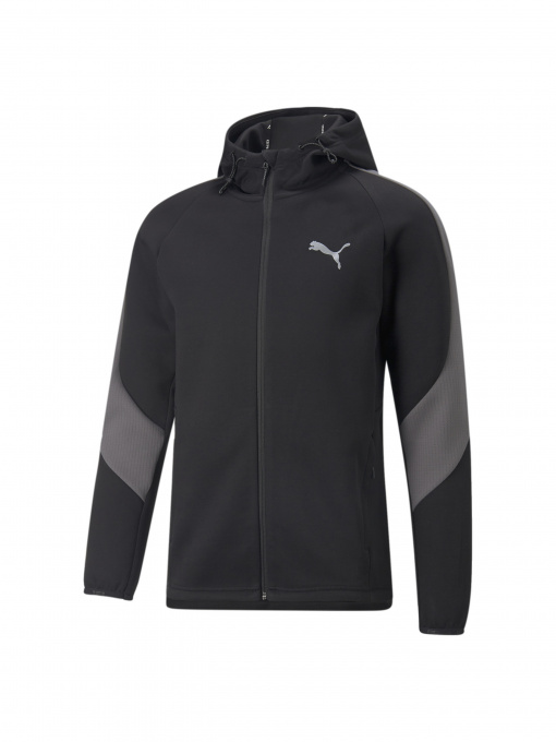 Худи и свитшоты PUMA Evostripe Full-zip Hoodie модель 849915 Фото