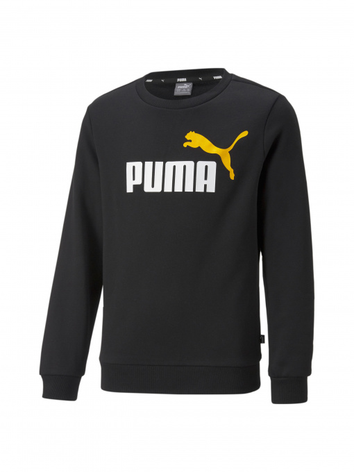 Худи и свитшоты PUMA модель 586986 Фото