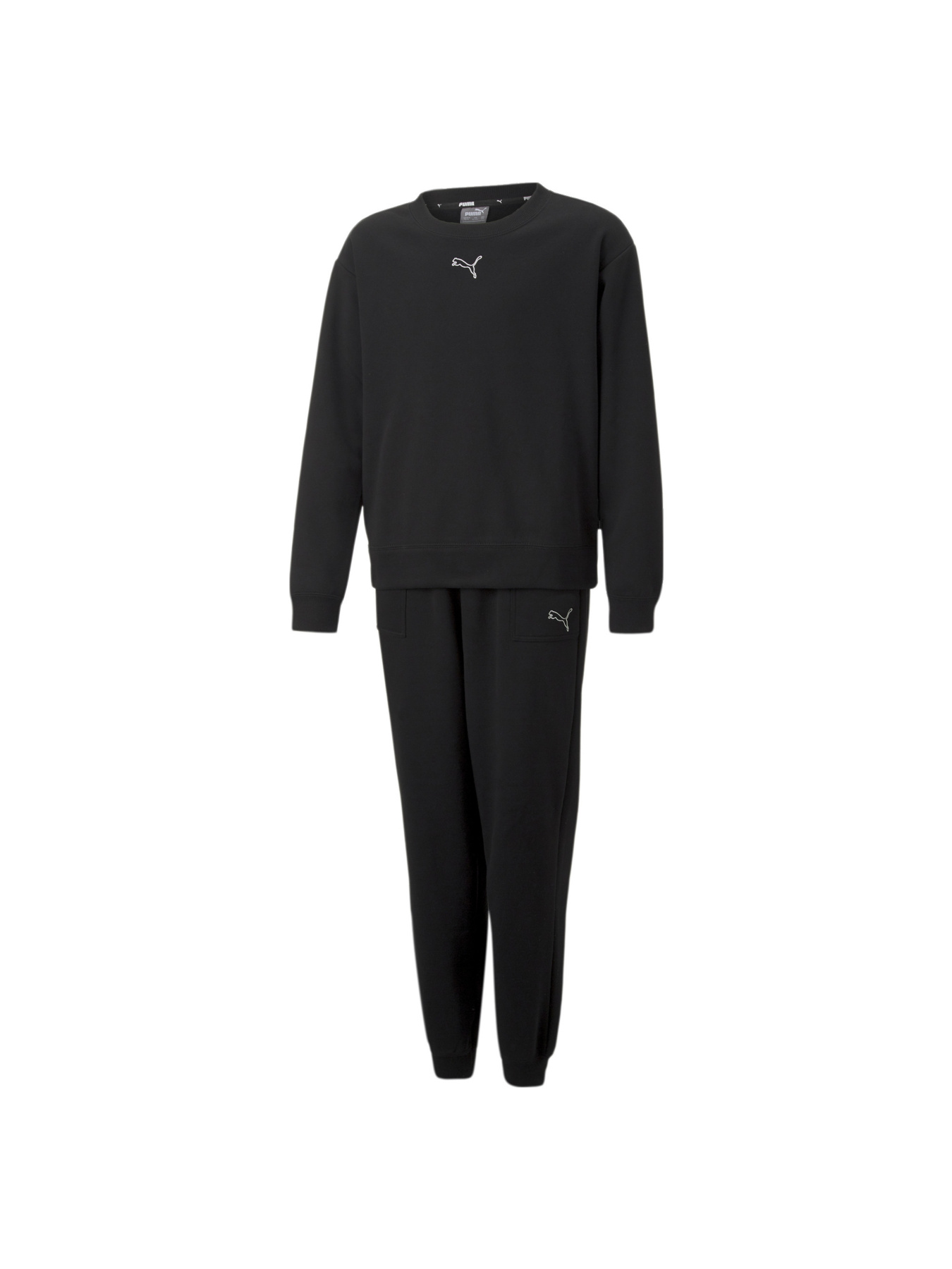 Костюмы PUMA Loungewear Suit модель 670734 Фото