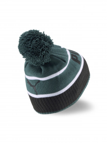 Шапки та кепки PUMA POM Beanie модель 024039 Фото