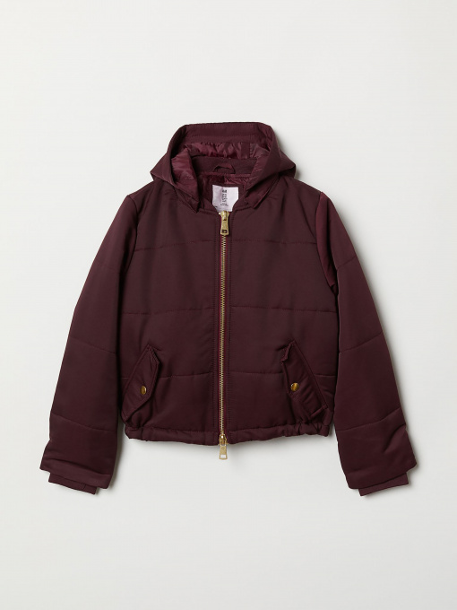 Куртки и дубленки H&M модель 65253 Фото